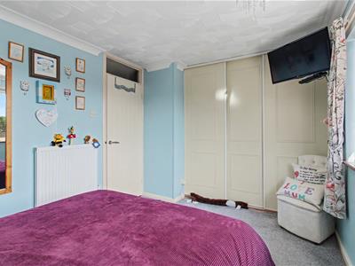Picture 13